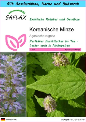 Produktbild von SAFLAX - Geschenk Set - Kräuter - Koreanische Minze - 1200 Samen - Mit Geschenk- / Versandbox, Versandaufkleber, Geschenkkarte und Anzuchtsubstrat - Agastache rugosa