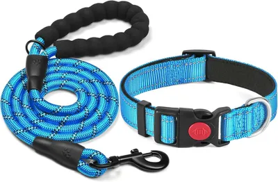 Produktbild von Reflektierendes Hundehalsband, Verstellbar, Nylon mit Neopren, für kleine, mittelgroße und große Hunde