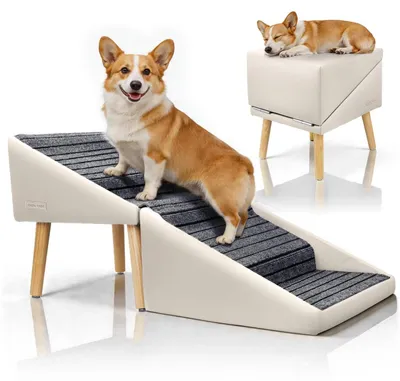 Immagine prodotto di Scala per cani a 4 gradini, 2-in-1, realizzata in legno massello. Rampa per cani, 43 cm, beige, pieghevole e antiscivolo