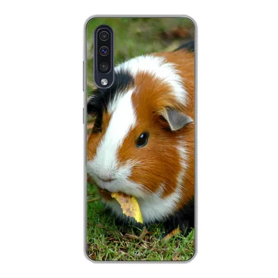 Produktbild von MuchoWow® Handyhülle Schutzhülle Hülle für Samsung Galaxy A30s Meerschweinchen draußen Silikon Softcase Handy Hülle - Karteninhaber