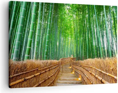 Produktbild von Bild auf Leinwand - Leinwandbild - Bambus Pflanze - 70x50cm - Wand Bild - Wanddeko - Wandbilder - Leinwanddruck - Bilder - Kunstdruck - Wanddekoration - Leinwand bilder - Wandkunst - AA70x50-3979