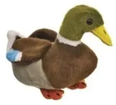 Zdjęcie produktu dla Kaczka Krzyżówka 18Cm