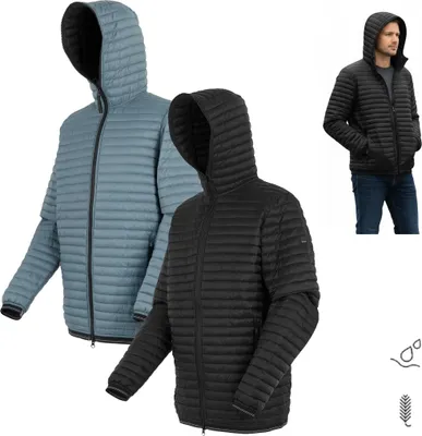 Produktbild von Regatta - Rigain Herrenjacke – Wattiert, Wasserabweisend & Warm
