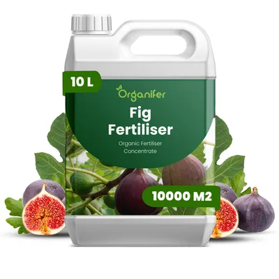 Zdjęcie produktu dla Fig Nawóz Płynny 10 L – 2-1-8 NPK – Do Figy i Owocowe Rośliny – Podporuje Silny Wzrost, Zdrowe Listy i Kvalitu Plodov – Organifer