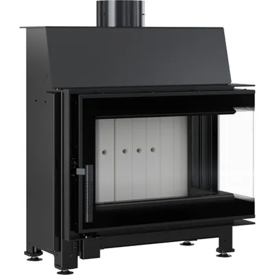 A black fireplace insert with a glass door and a white interior.