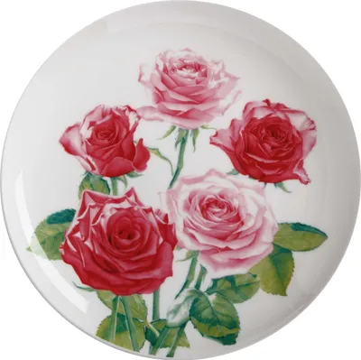 Obrázek produktu pro FLORIADE Talíř Rose, porcelán z kostního porcelánu, v dárkové krabičce