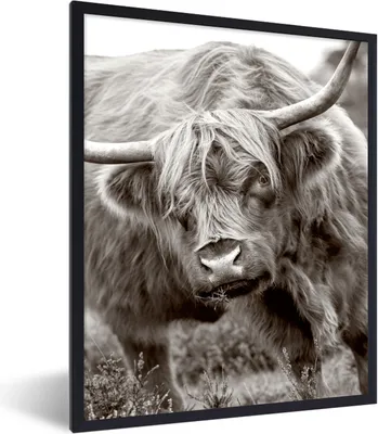 Produktbild von MuchoWow® Gerahmtes Poster Schottischer Highlander - Schwarz - Weiß - Hörner 60x80 cm - Poster mit Schwarzem Bilderrahmen Wandposter Rahmen Foto Bilder - Premium - Wanddeko Wohnzimmer