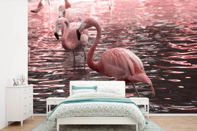 Produktbild von MuchoWow® Fototapete für Wohnzimmer oder Schlafzimmer Wandtapete Vinyl Motivtapete Eine Gruppe von Flamingos steht im Wasser - 600x400 cm - Vinyltapeten
