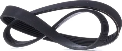 Produktbild von MASTER-SPORT Keilrippenriemen 894mm für VW GOLF III (1H1) 6PK894-PCS-MS