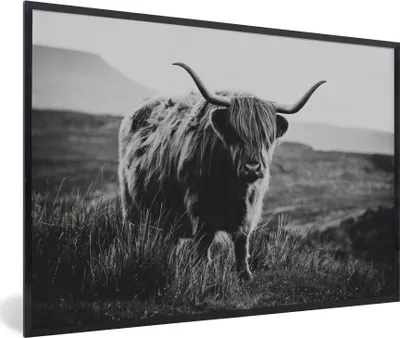 Produktbild von MuchoWow® Gerahmtes Poster Schottische Hochlandbewohner - Natur - Kühe - Tiere - Schwarz und weiß 90x60 cm - Poster mit Schwarzem Bilderrahmen Wandposter Rahmen Foto Bilder - Fotorahmen - Foto-Plakat