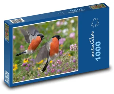 Obrázek produktu pro Puzzle 1000 Hýli mezi květinami - martinpuzzle
