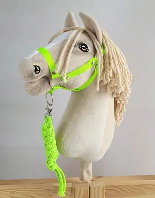Produktbild von Hobby Horse Set verstellbare Halfter A3 und grüne Naturfaserleine