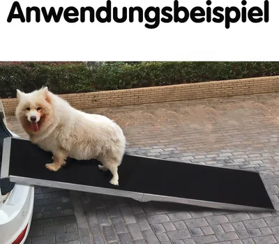 Produktbild von Einstiegsrampe für Tiere DAR 213