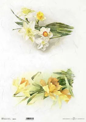 Zdjęcie produktu dla Papier ryżowy do decoupage A3 ITD-817L bratki, żonkile