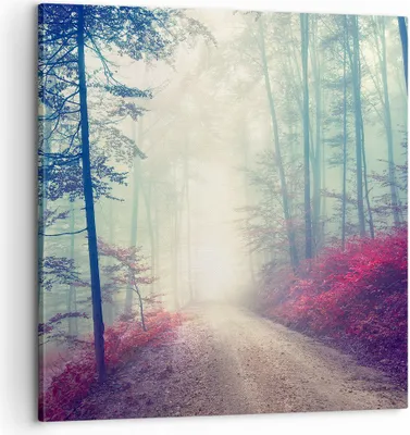 Produktbild von Bild auf Leinwand - Leinwandbild - Wald Baum Natur - 60x60cm - Wand Bild - Wanddeko - Wandbilder - Leinwanddruck - Bilder - Kunstdruck - Wanddekoration - Leinwand bilder - Wandkunst - AC60x60-3667