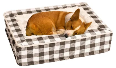 Image de Lit pour chien, nid douillet pour un sommeil confortable
