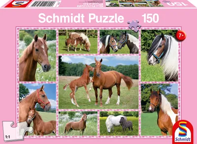 Image de Schmidt Jeux Rêves de chevaux