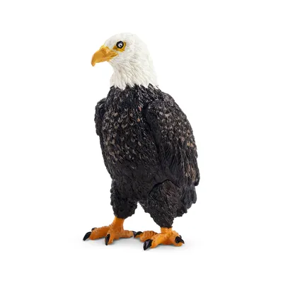Produktbild von Toymany ML00325 Adler 6 cm Wldtiere