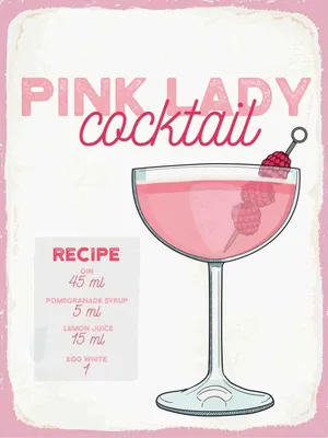 Produktbild von vianmo Holzschild 40x30 cm Pink Lady Cocktail Recipe Essen Trinken