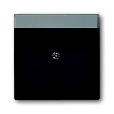 Produktbild von BUSCH JAEGER 1710-0-3627 - Anthrazit - konventionell - Jede Marke - 63 mm - 63 mm - 1 Stück(e)