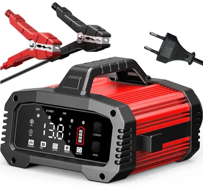 Immagine prodotto di Caricabatterie auto Batteria - 12 V e 24 V - 25 A - Con compensazione della temperatura
