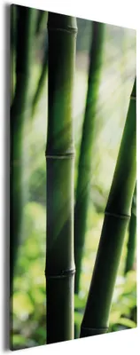 Produktbild von Wallario Premium Leinwandbild Bambuswald und Sonnenstrahlen in Größe 30 x 75 cm