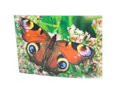 Produktbild von 3 D Ansichtskarte Schmetterling, Tagpfauenauge, Postkarte Wackelkarte Hologrammkarte Tiere Tier Falter
