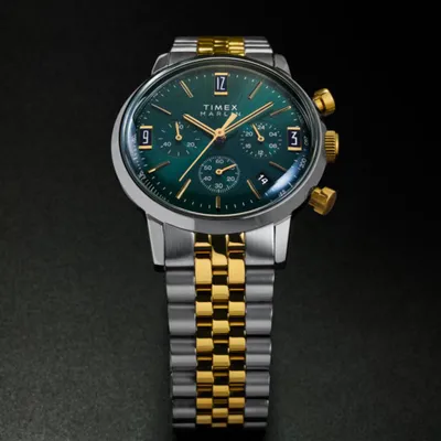 Obrázek produktu pro Stříbrné hodinky Timex TW2W60000