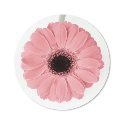 Produktbild von MuchoWow® Mauspad Mousepad Blume - Rosa - Natur - Pflanze 50x50 cm - Mousepads - Maus Mat - Pad - Mausunterlage - Vinyl