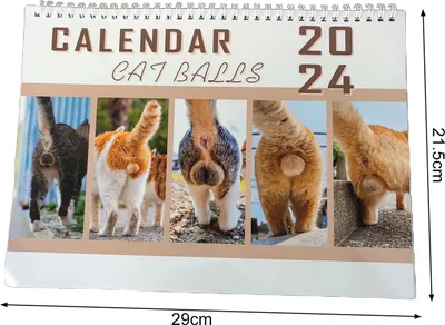 Produktbild von Wandkalender 2024, exquisites Muster, lichtbeständig, dickes, stabiles Papier, 12-monatige lustige Katzen-Hintern-Kalender-Dekoration