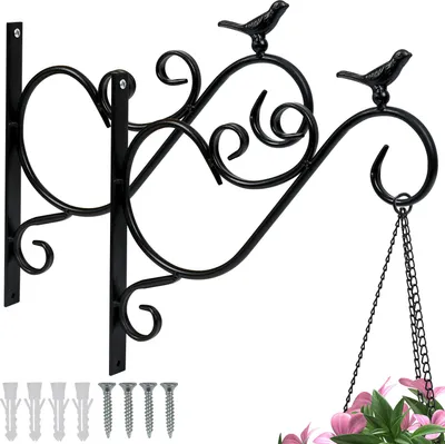 Produktbild von Faziango Blumenhaken 4er Set mit Vogel Motiv, Metall Schwarz Wandhalterung für Pflanzen und Gartendeko