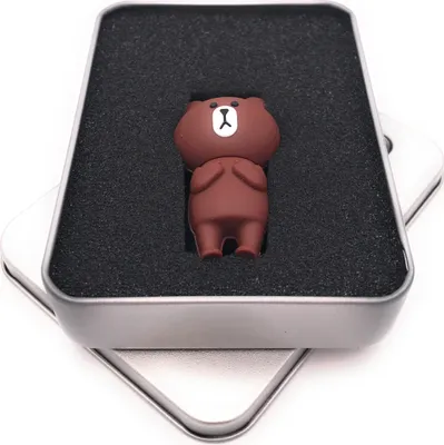Produktbild von Onwomania Grizzly Bär Brauner Bär USB Stick in Alu Geschenkbox 128 GB USB 3.0