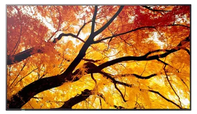 Obrázok produktu pre Sharp MultiSync PN-M982, Interaktívny plochý panel, 2,48 m (97.5"), LED, 3840 x 2160 px, 24/7