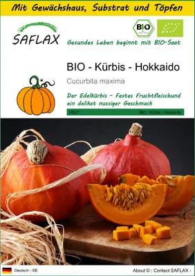 Produktbild von SAFLAX Anzucht Set - BIO - Kürbis - Hokkaido - Cucurbita maxima - 5 Samen - Mit Mini-Gewächshaus, Anzuchtsubstrat und 2 Töpfen