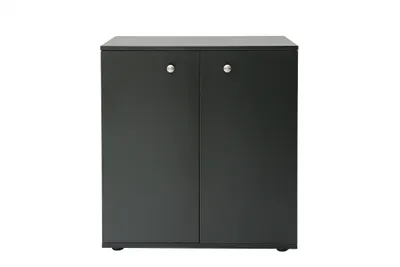 A front view of a black two-door cabinet against a white background.