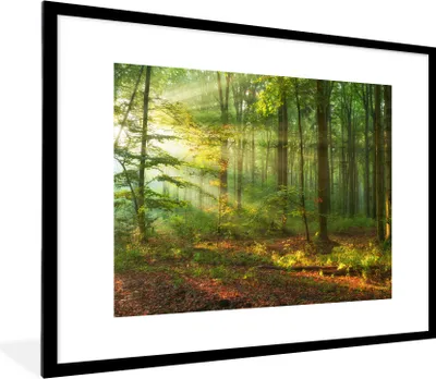Produktbild von MuchoWow® Gerahmtes Poster Sonne - Wald - Bäume - Natur - Herbst 80x60 cm - Poster mit Schwarzem Bilderrahmen Wandposter Rahmen Foto Bilder - Schlafzimmer-Dekorationen - Fotoposter