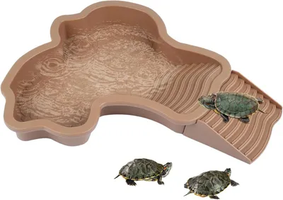 Produktbild von Große Reptilien Badeschale mit Rampe, abnehmbar, Kunststoff – für Schildkröten, Echsen, Schlangen, Amphibien, 35x28,5x4,3cm
