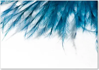 Produktbild von Tulup® Glas-Bild - 100 x 70 - Wandbild aus Glas - Wandkunst - Wandbild hinter gehärtetem Sicherheitsglas - Kunst: modern & klassisch - Blaue Federn - Blau