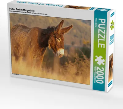 Produktbild von CALVENDO Puzzle Poitou Esel im Morgenlicht 2000 Teile Puzzle quer | 2000 Teile Lege-Größe 90x67cm Foto-Puzzle für glückliche Stunden