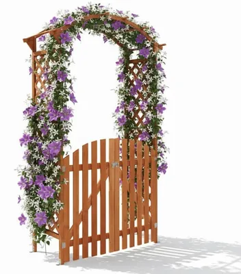 Produktbild von Holz Rosenbogen mit Tür Tor Pergola Torbogen Rankhilfe Spalier Blumenkübel NEU