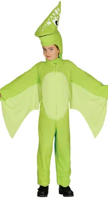 Produktbild von Flugsaurier Kostüm für Kinder in Grün, Gr. 98-134, Größe:98/104