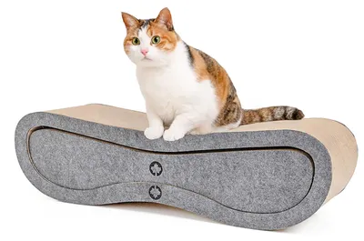 Produktbild von Kratzbrett-Set Orbit & Satellite · Felty · Katzen Kratzpappe · grau · ca. 84 x 24 x 23 cm
