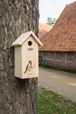 Zdjęcie produktu dla Esschert Design | Budka lęgowa - 30 cm - Drewno - Ekologiczna - Idealna dla małych ptaków - Dekoracyjna