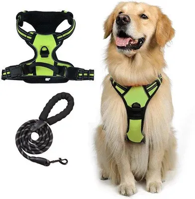 Imagen del producto de Collar para perro ajustable, reflectante y antideslizante, duradero, verde y , talla S (8-15 kg)