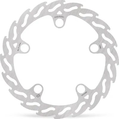 Image de Disque De Frein Flamme Avant L