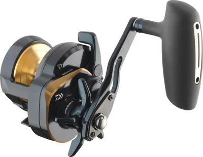 Produktbild von DAIWA 24 Saltiga L, 15, Linkshand, Multi Angelrolle, Sternbremse, 10808-015