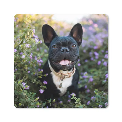 Produktbild von MuchoWow® Mauspad Mousepad Französische Bulldogge - Blumen - Lila 20x20 cm - Mousepads - Maus Mat - Pad - Mausunterlage - Desk Mat - Bureauartikeln