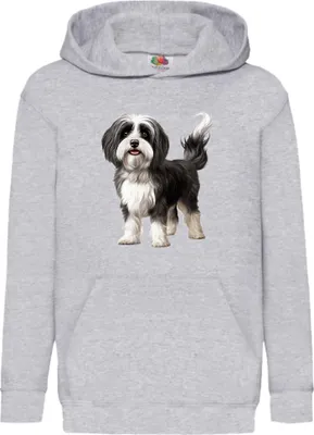 Obrázok produktu pre Detská Mikina S Kapucňou Dogs Breeds Havanese Dog Breed 005, 5-6 Jahr - 116 / Heather šedá