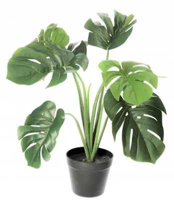 Obrázok produktu pre Monstera V Koryte, Umelé Kvety, Vyzeráju Ako Živé