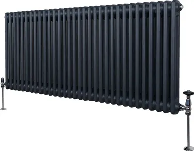 Zdjęcie produktu dla Tradycyjny grzejnik 2-kolumnowy - 600 x 1462 mm - szary antracyt